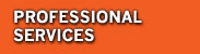 professional services